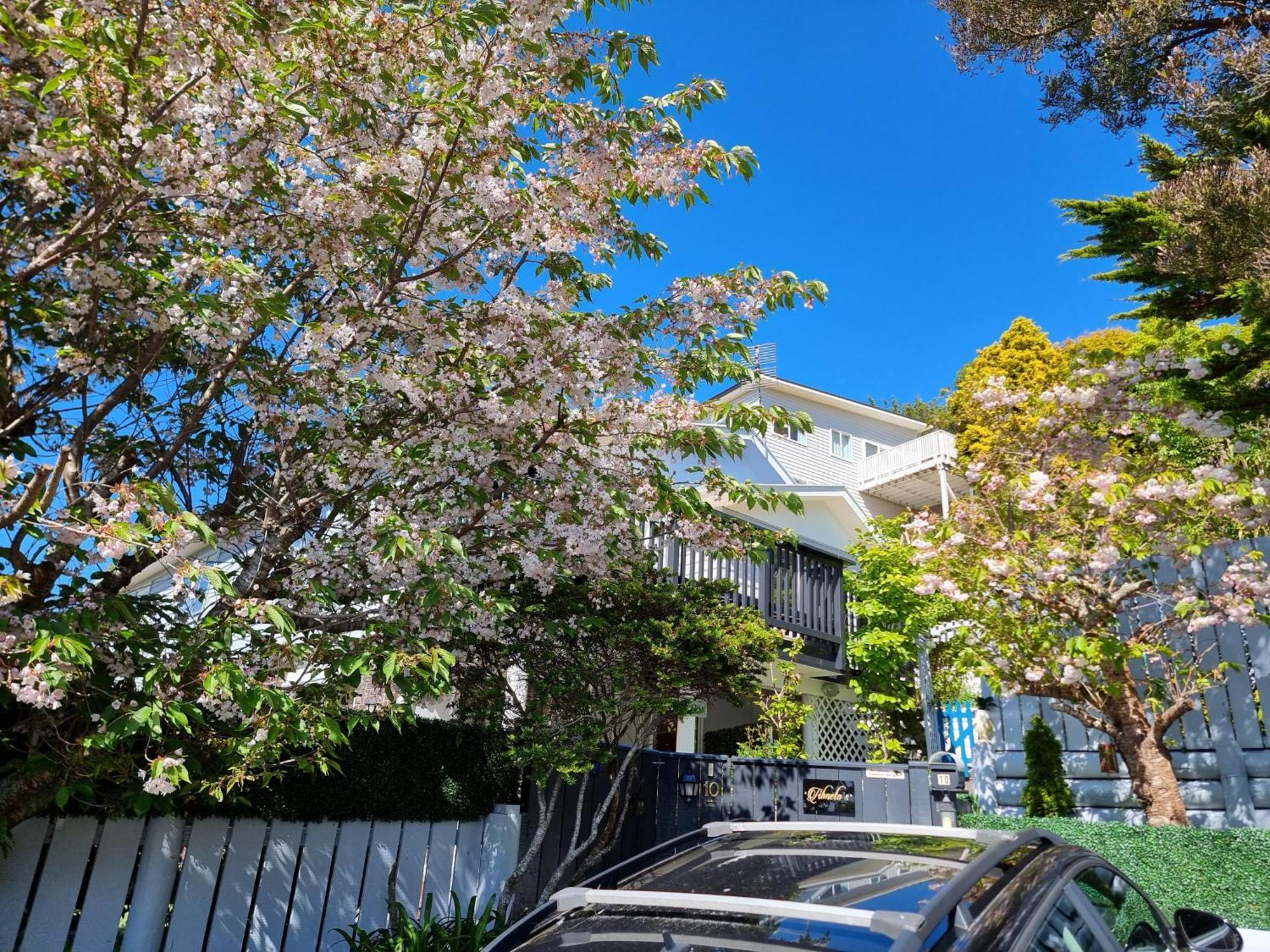 Entire Ground Floor With Full-Privacy And Family-Friendly Popular To Ferry Catchers Wellington Bagian luar foto